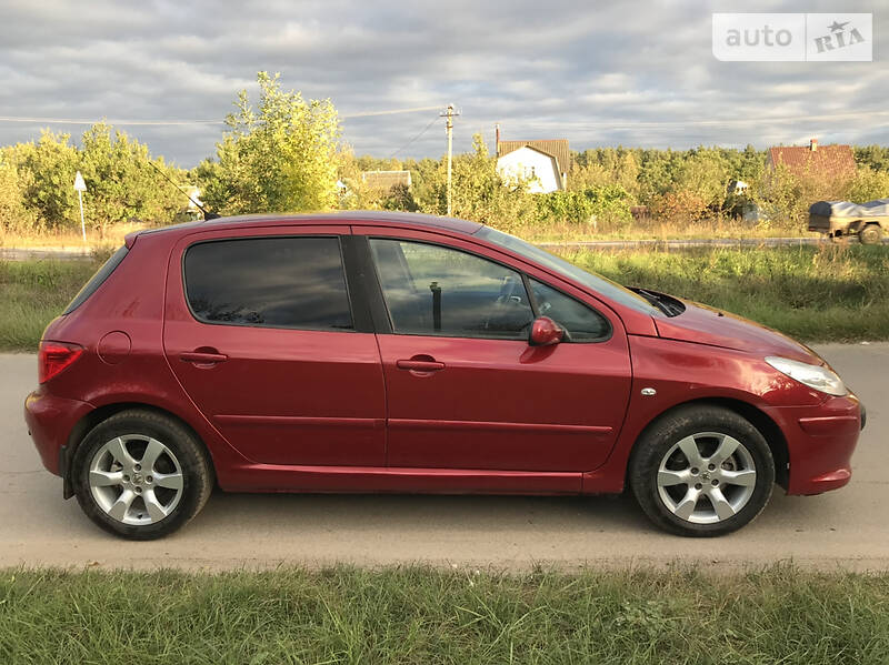 Хетчбек Peugeot 307 2007 в Чернігові