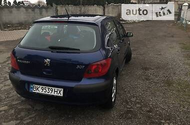 Хетчбек Peugeot 307 2004 в Дубні