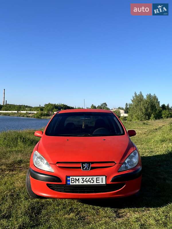 Хэтчбек Peugeot 307 2002 в Шостке