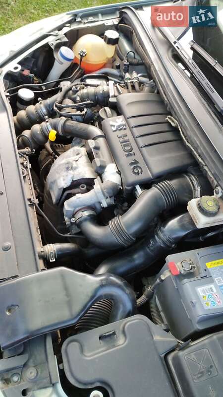 Універсал Peugeot 307 2006 в Шостці