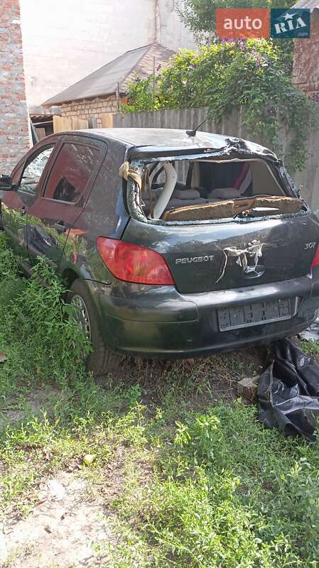 Peugeot 307 2002