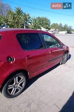 Хэтчбек Peugeot 307 2004 в Александровке