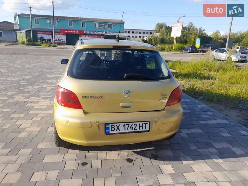 Хетчбек Peugeot 307 2004 в Шепетівці