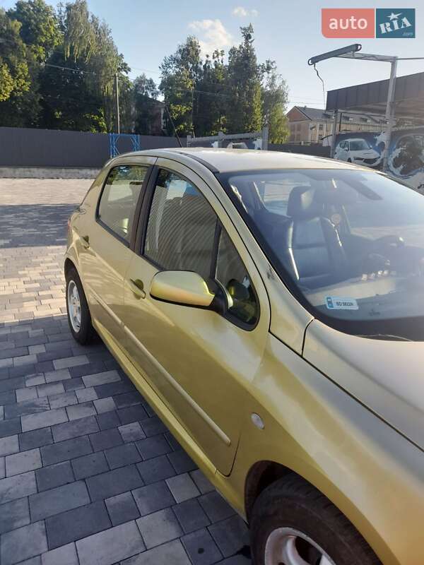 Хетчбек Peugeot 307 2004 в Шепетівці