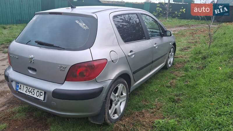 Хэтчбек Peugeot 307 2002 в Чуднове фото 6 Хэтчбек Peugeot 307 2002 в Чуднове