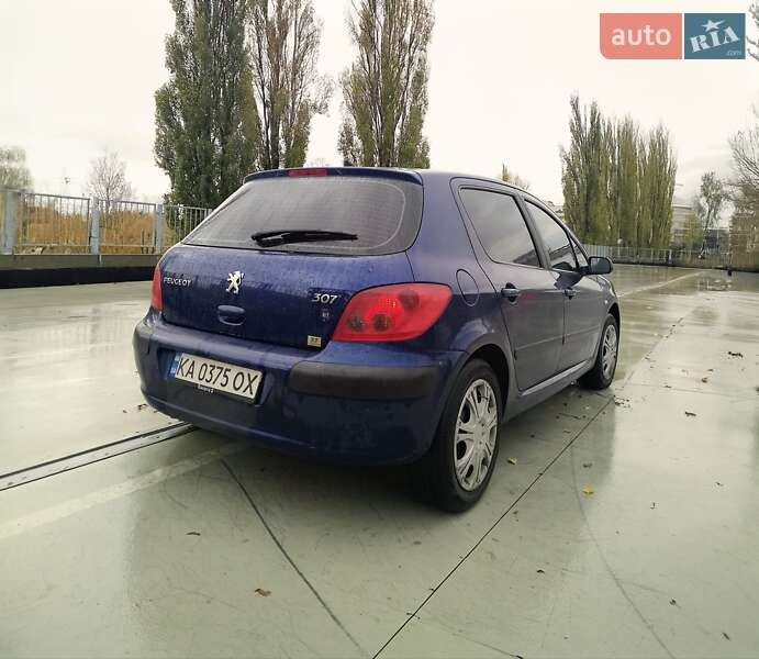 Хетчбек Peugeot 307 2004 в Києві фото 5 Хетчбек Peugeot 307 2004 в Києві