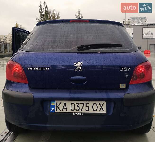 Хетчбек Peugeot 307 2004 в Києві фото 9 Хетчбек Peugeot 307 2004 в Києві