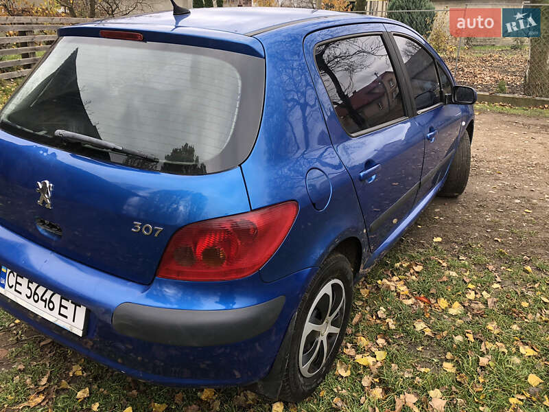 Хетчбек Peugeot 307 2004 в Сторожинці
