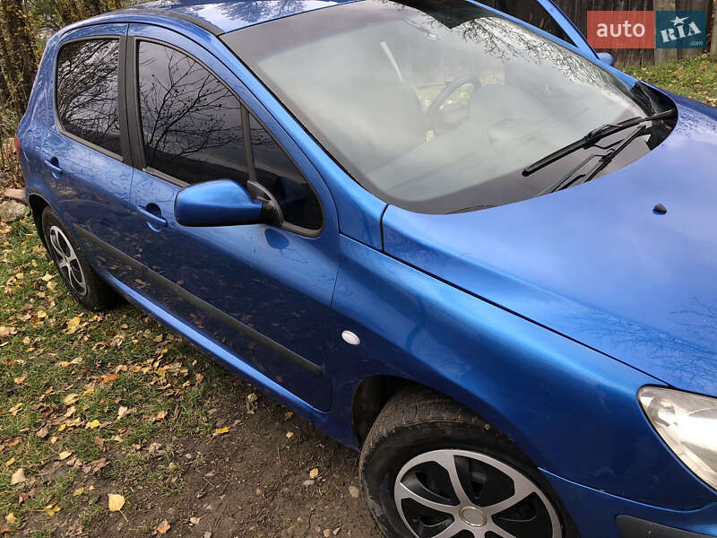 Хетчбек Peugeot 307 2004 в Сторожинці