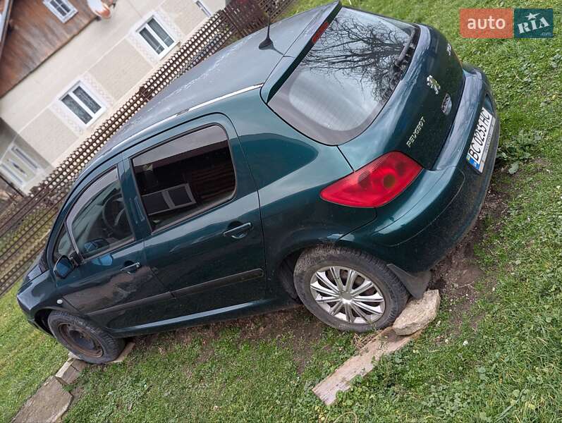 Хэтчбек Peugeot 307 2002 в Самборе