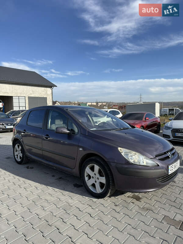 Хетчбек Peugeot 307 2002 в Кам'янець-Подільському
