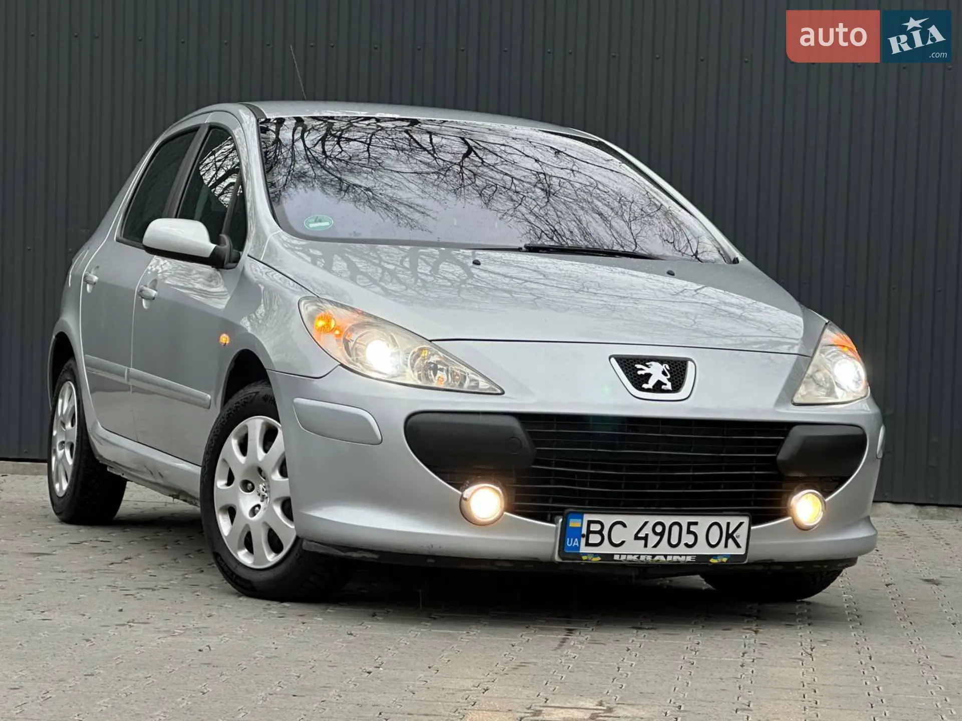 Peugeot 307, 2006
