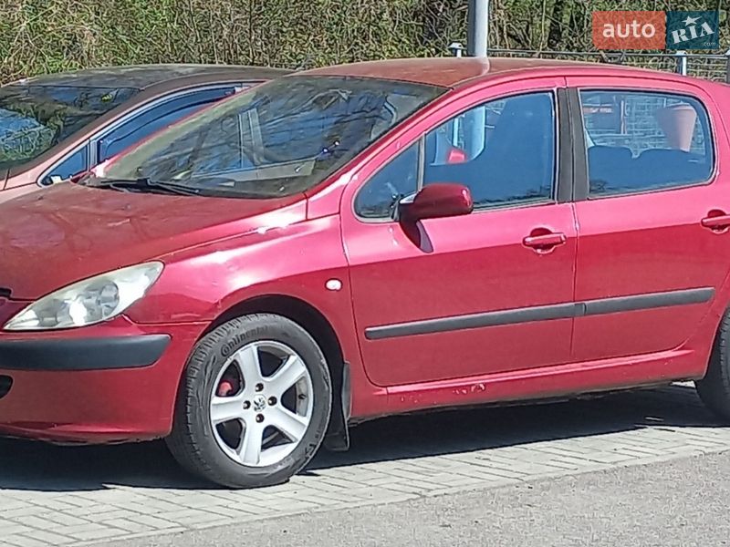 Peugeot 307 2004