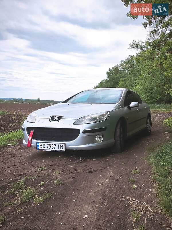 Peugeot 407 2005 Peugeot 407 2005