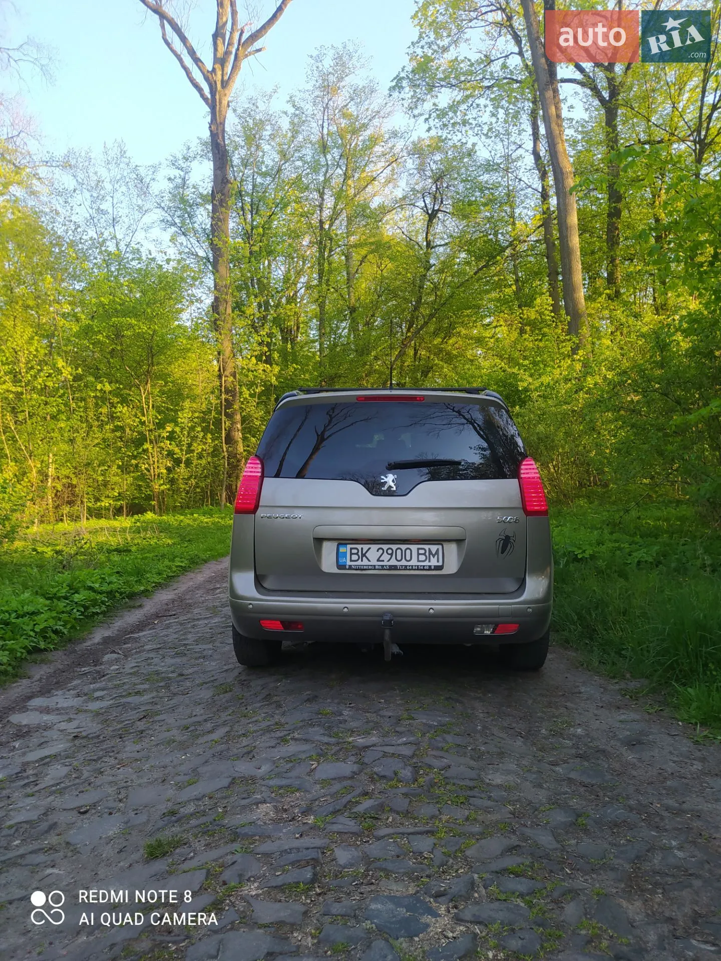 2011 Peugeot 5008 - мініатюра 13