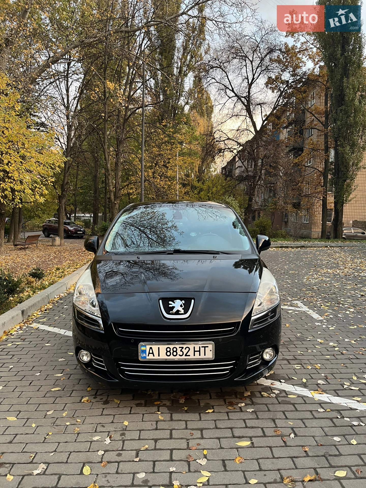 2013 Peugeot 5008 - фото 1