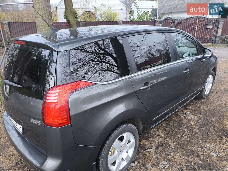 Микровэн Peugeot 5008 2009 в Звягеле