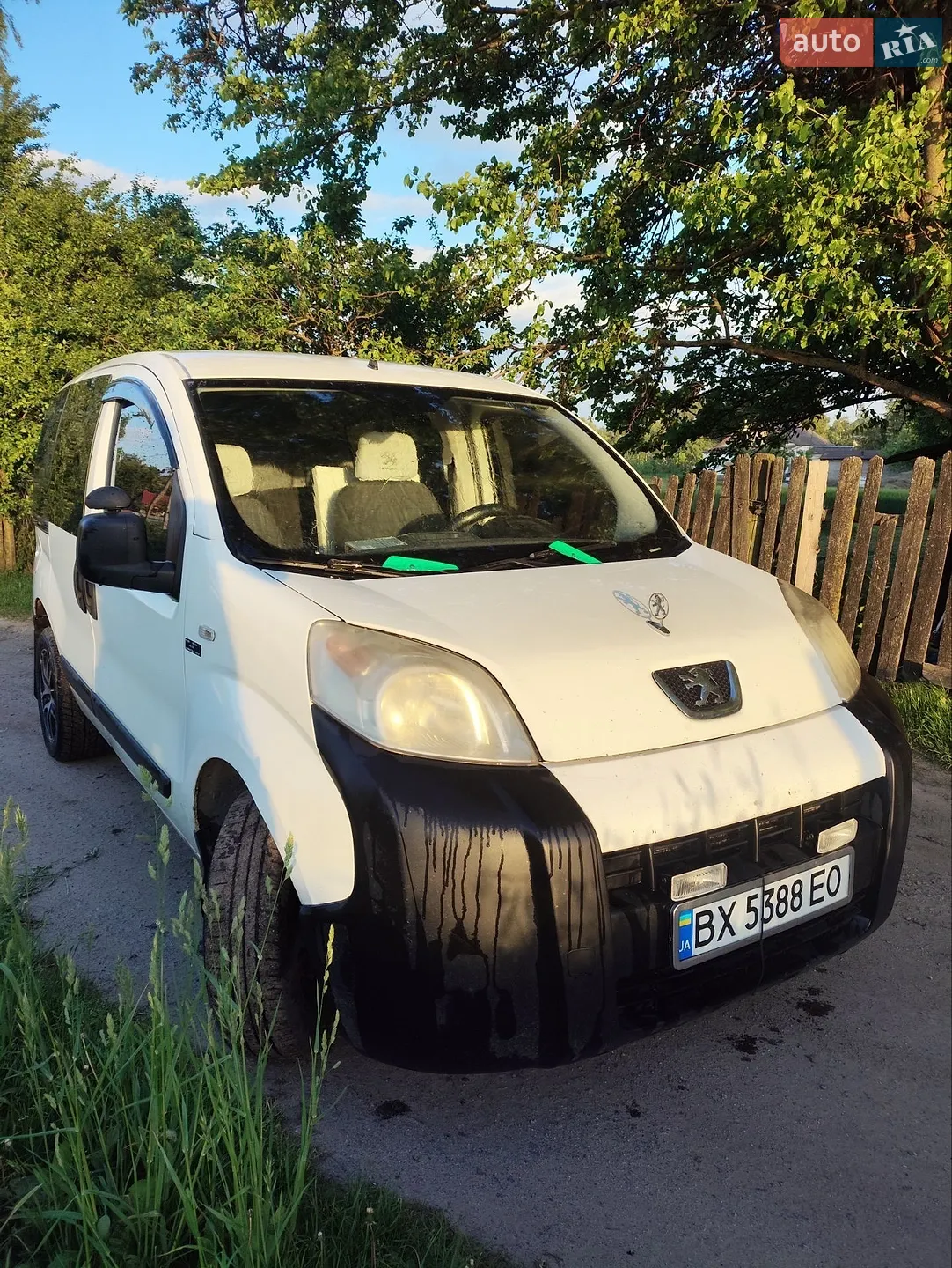 2010 Peugeot Bipper - мініатюра 2