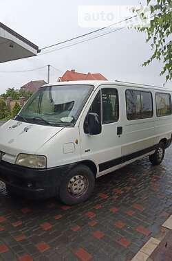 Мікроавтобус Peugeot Boxer 2004 в Луцьку