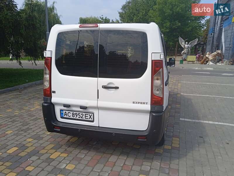 Мінівен Peugeot Expert 2009 в Луцьку