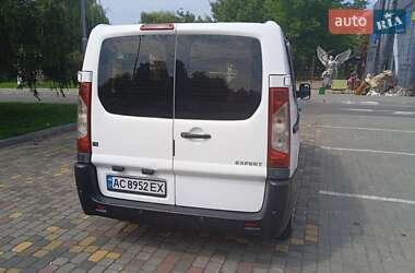 Мінівен Peugeot Expert 2009 в 