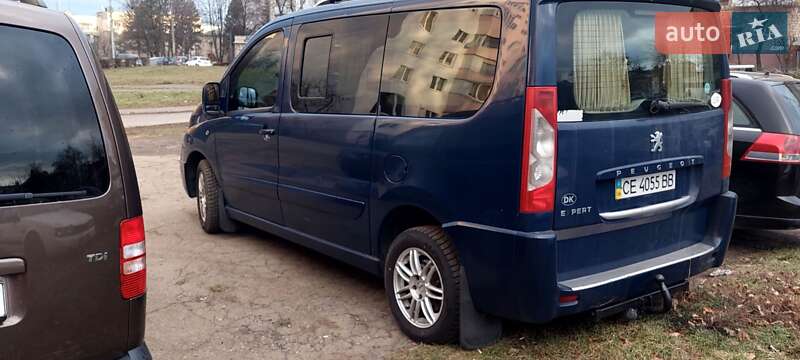 Мінівен Peugeot Expert 2007 в Чернівцях
