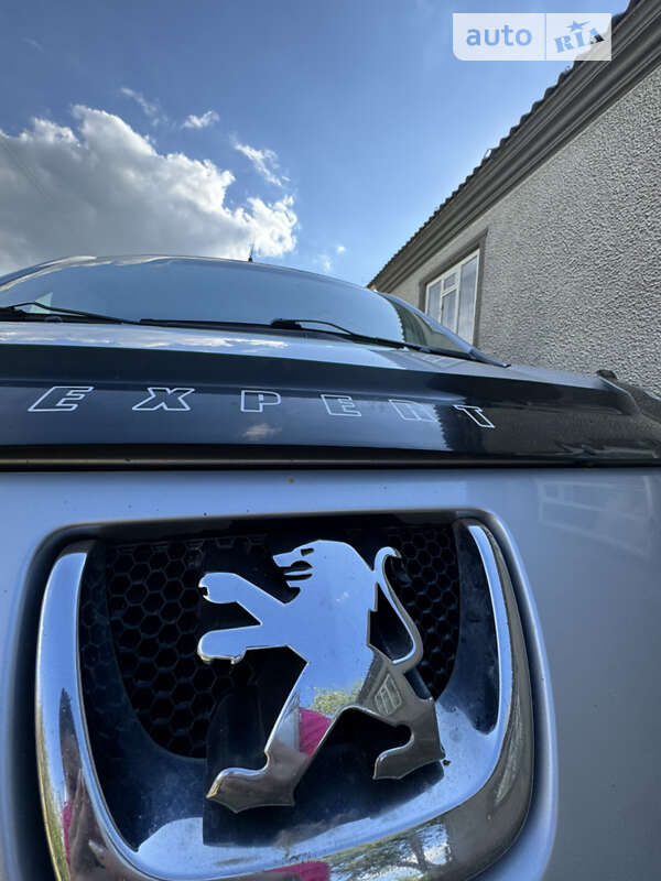 Мінівен Peugeot Expert 2008 в Шаргороді