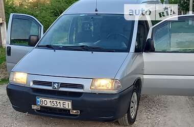 Минивэн Peugeot Expert 2002 в Гусятине