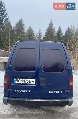 Вантажний фургон Peugeot Expert 1998 в Кременці