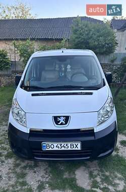 Минивэн Peugeot Expert 2009 в Тернополе