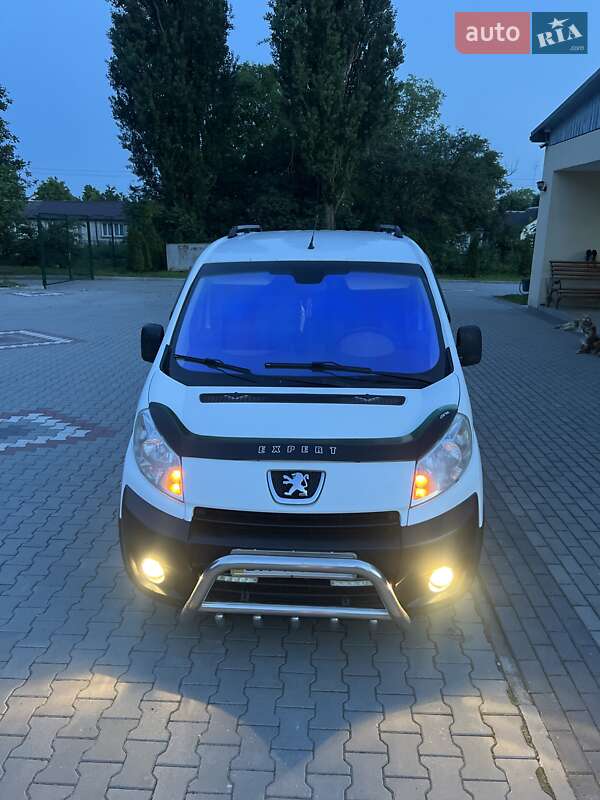 Минивэн Peugeot Expert 2007 в Полонном