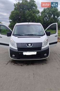 Вантажний фургон Peugeot Expert 2010 в Могилів-Подільському