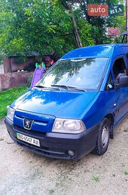 Минивэн Peugeot Expert 2007 в Тернополе