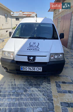 Мінівен Peugeot Expert 2005 в Копичинці