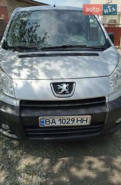 Минивэн Peugeot Expert 2009 в Кропивницком