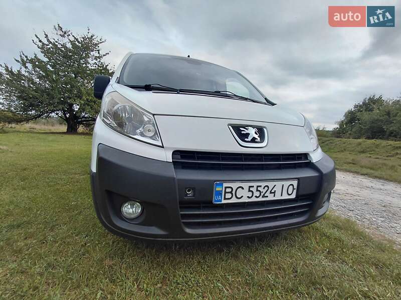 Минивэн Peugeot Expert 2009 в Трускавце