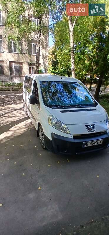 Мінівен Peugeot Expert 2009 в Ярмолинцях