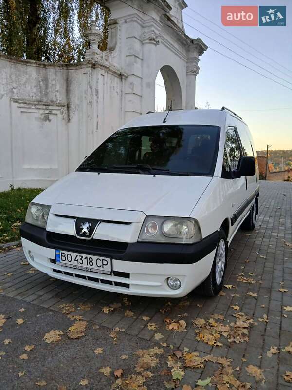 Минивэн Peugeot Expert 2005 в Кременце