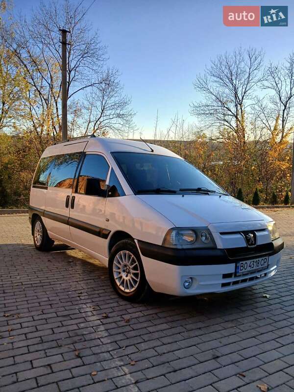 Минивэн Peugeot Expert 2005 в Кременце