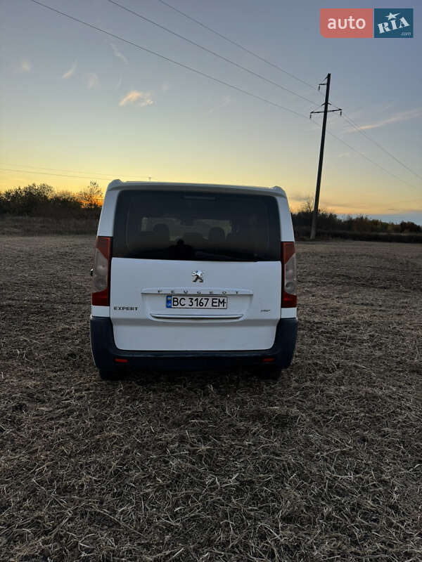 Мінівен Peugeot Expert 2009 в Жидачові