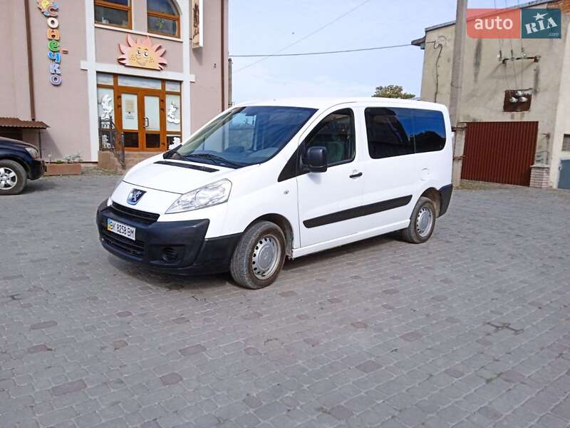 Минивэн Peugeot Expert 2009 в Гусятине