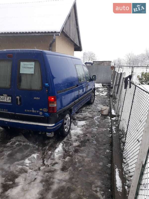 Мінівен Peugeot Expert 2004 в Новому Розділі