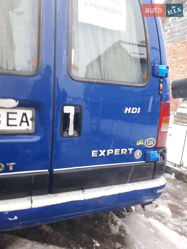 Мінівен Peugeot Expert 2004 в Новому Розділі