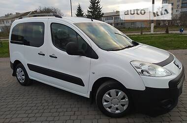 Минивэн Peugeot Partner 2010 в Теофиполе