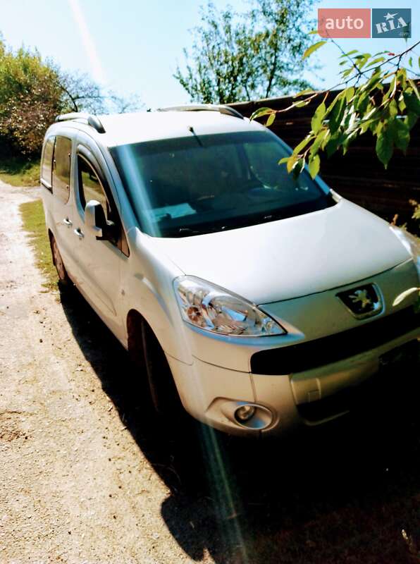 Минивэн Peugeot Partner 2009 в Первомайске