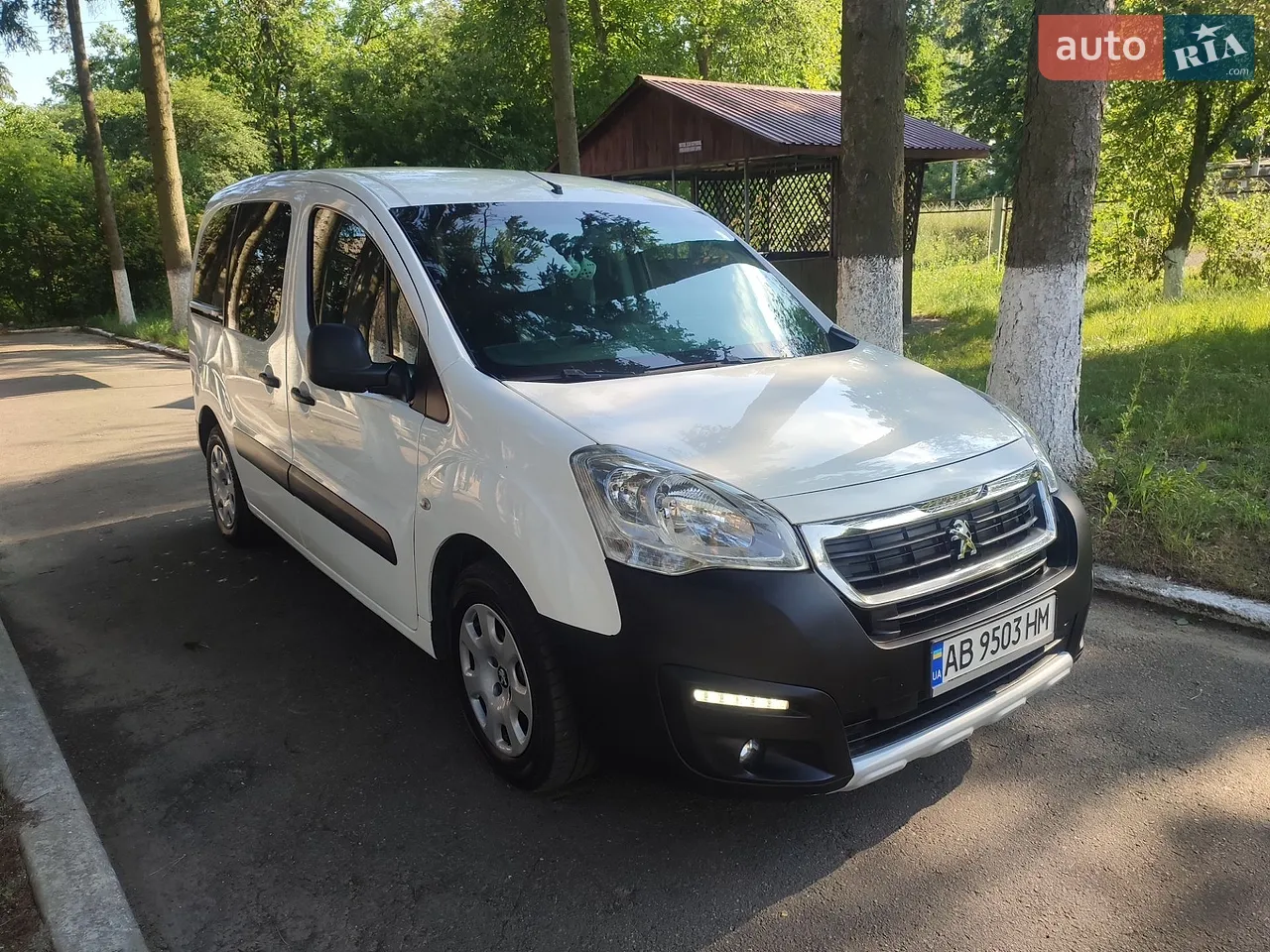 2017 Peugeot Partner - мініатюра 18