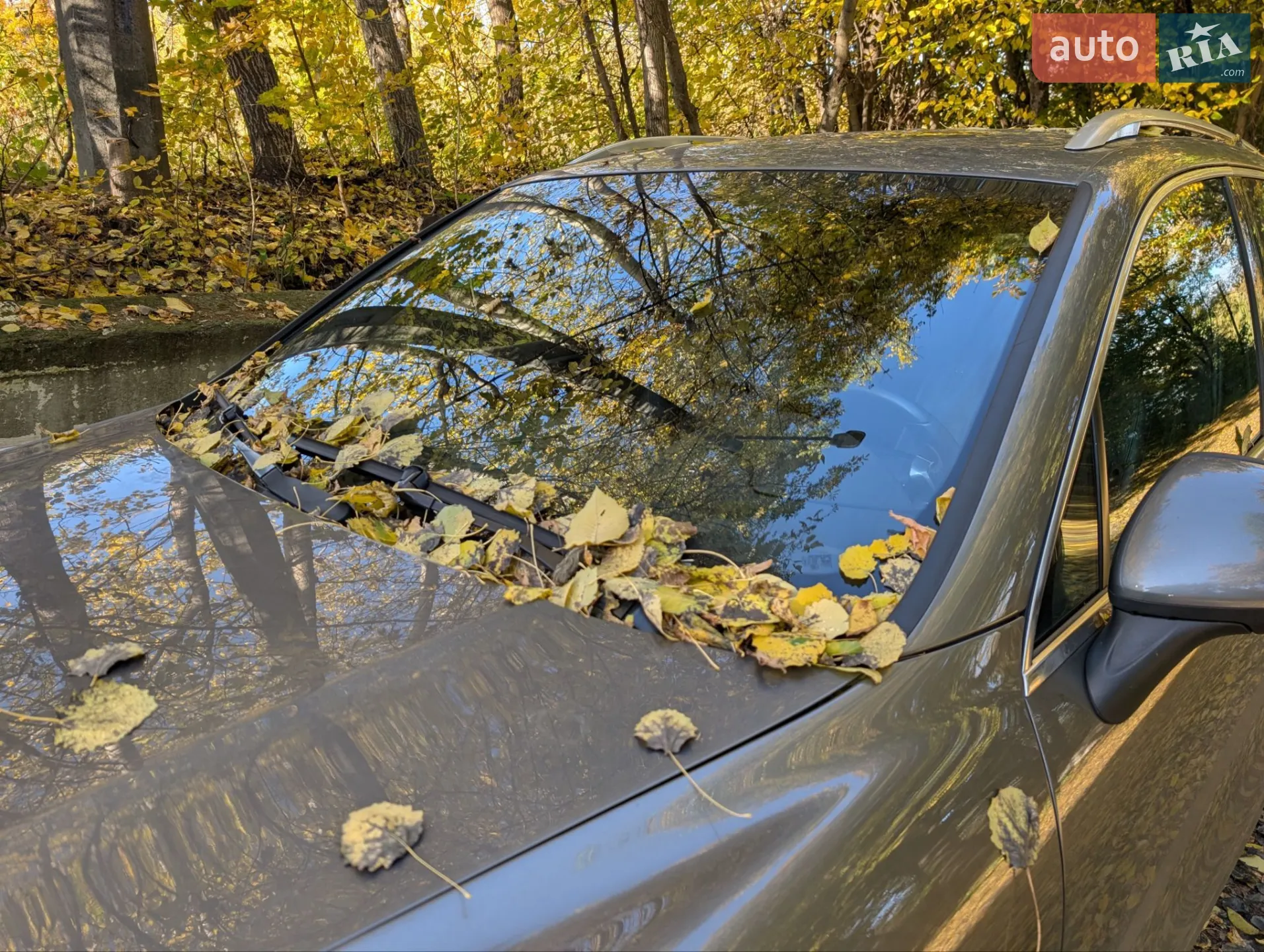 Porsche Cayenne 2010 VIN WP1ZZZ92ZBLA40414 фото оголошення 25 з 28