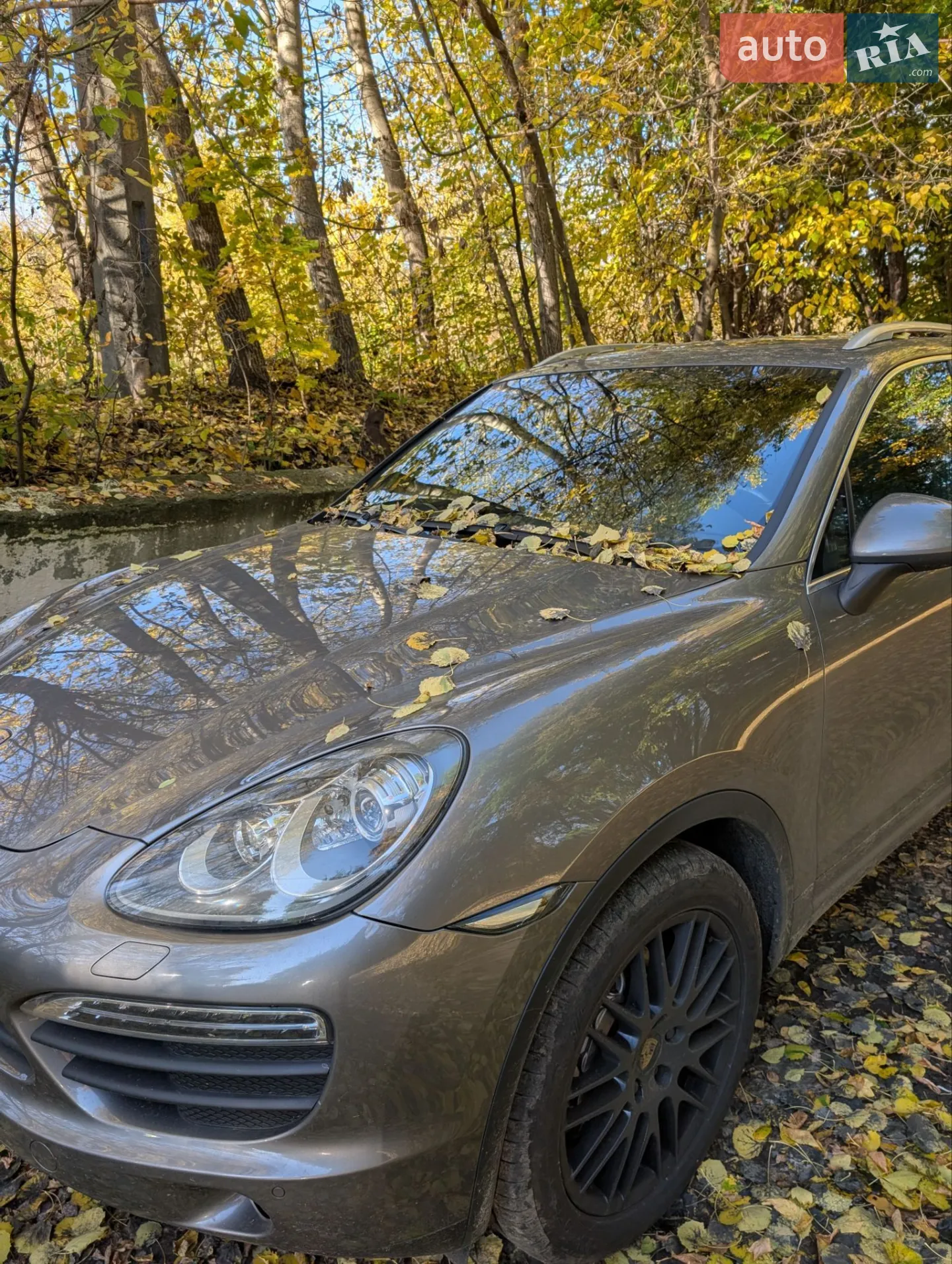 Porsche Cayenne 2010 VIN WP1ZZZ92ZBLA40414 фото оголошення 26 з 28