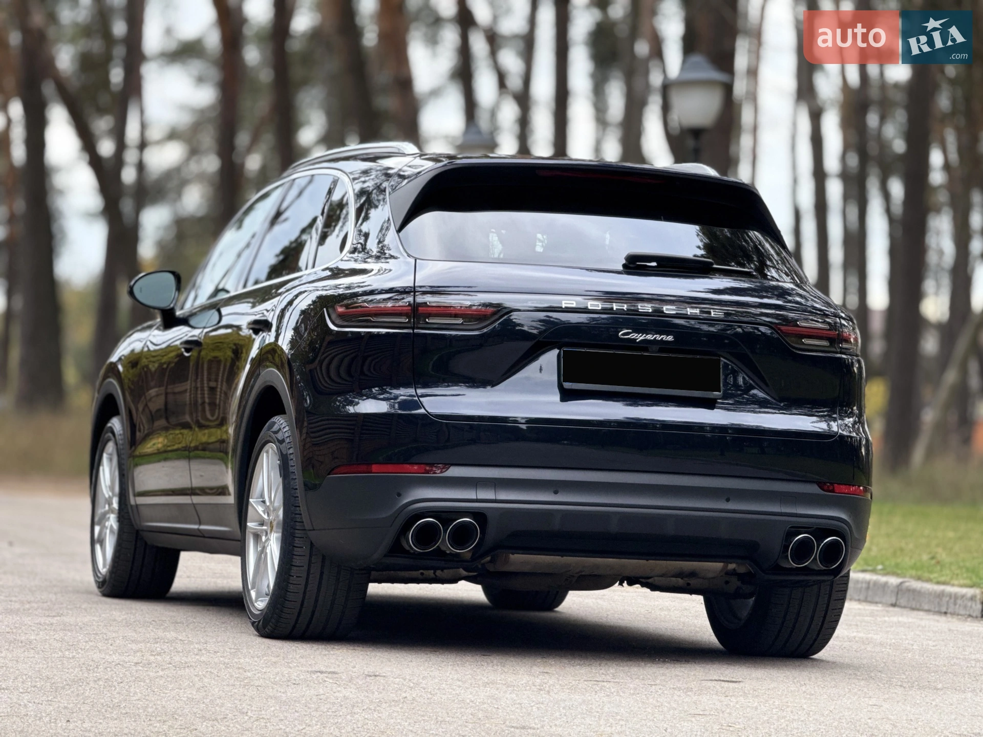 2018 Porsche Cayenne - мініатюра 4