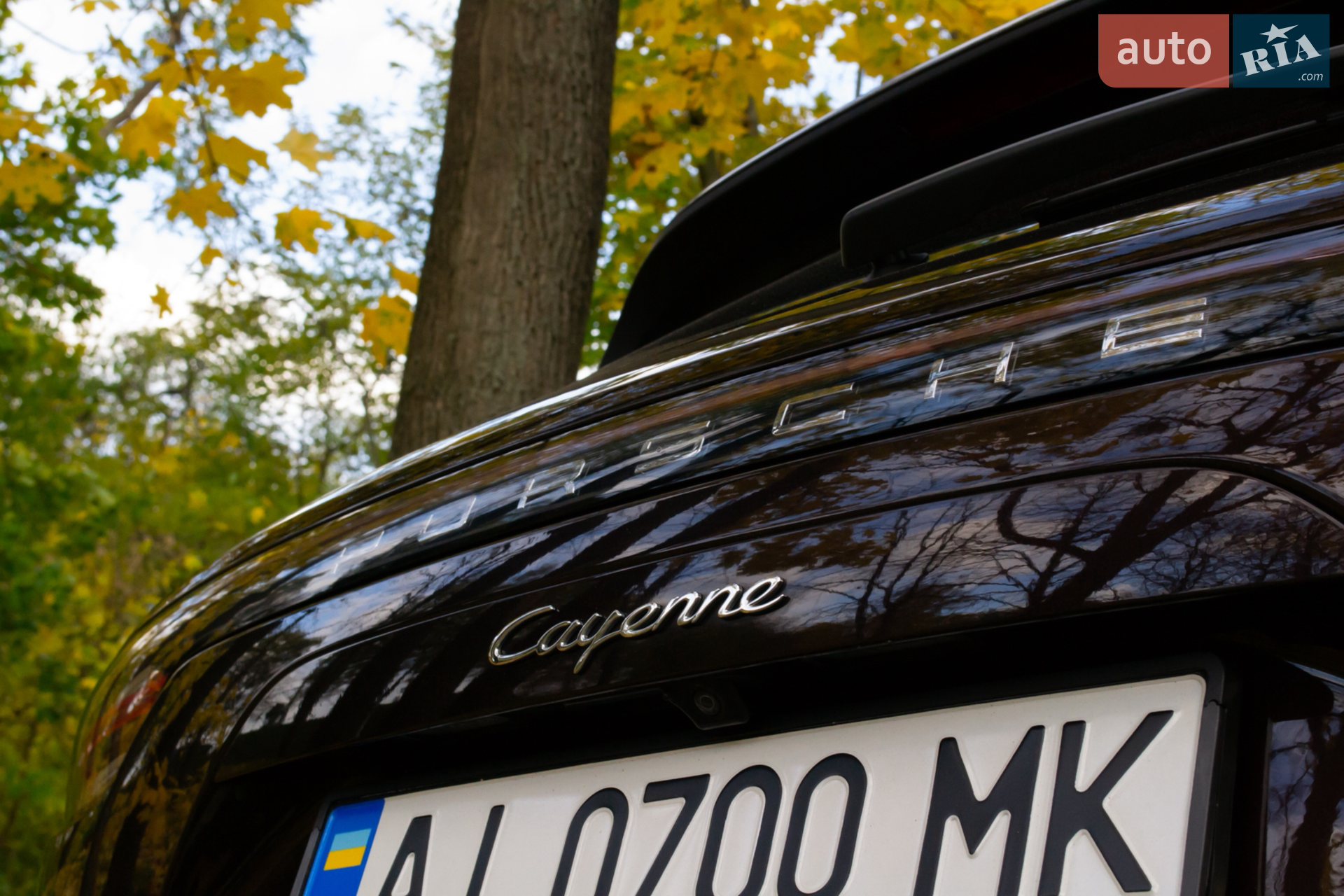 2018 Porsche Cayenne - мініатюра 16
